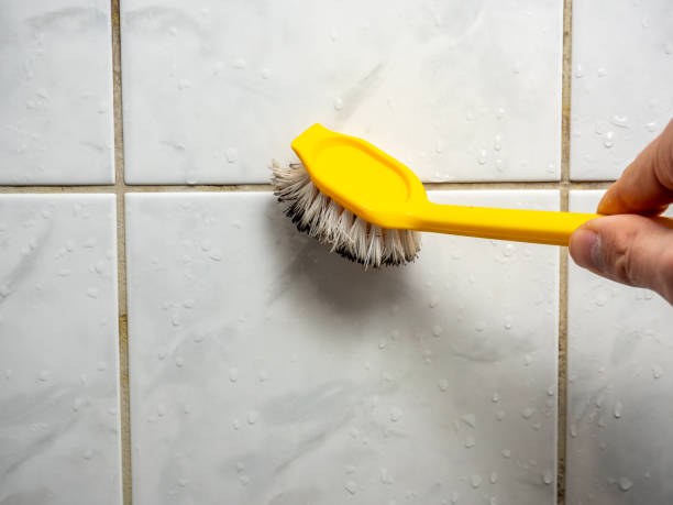 Best Insurance-Related Mold Remediation in Eunice, NM