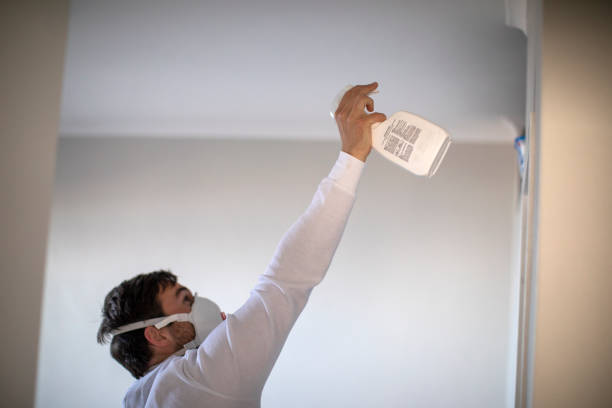Best DIY Mold Remediation Support Services in Eunice, NM