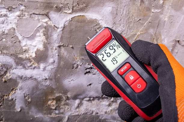 Best Mold Testing and Inspection Services in Eunice, NM