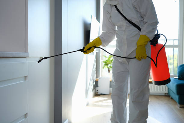 Best Emergency Mold Remediation in Eunice, NM